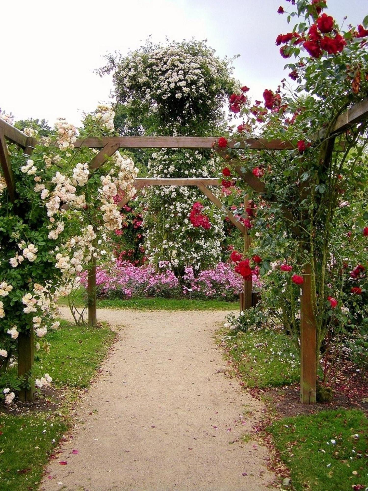 La Cloue Bed and Breakfast Sainte-Marie-du-Bois  Exteriör bild