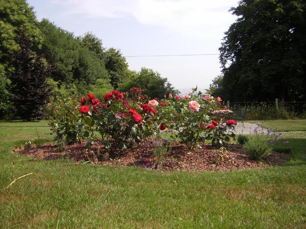 La Cloue Bed and Breakfast Sainte-Marie-du-Bois  Exteriör bild